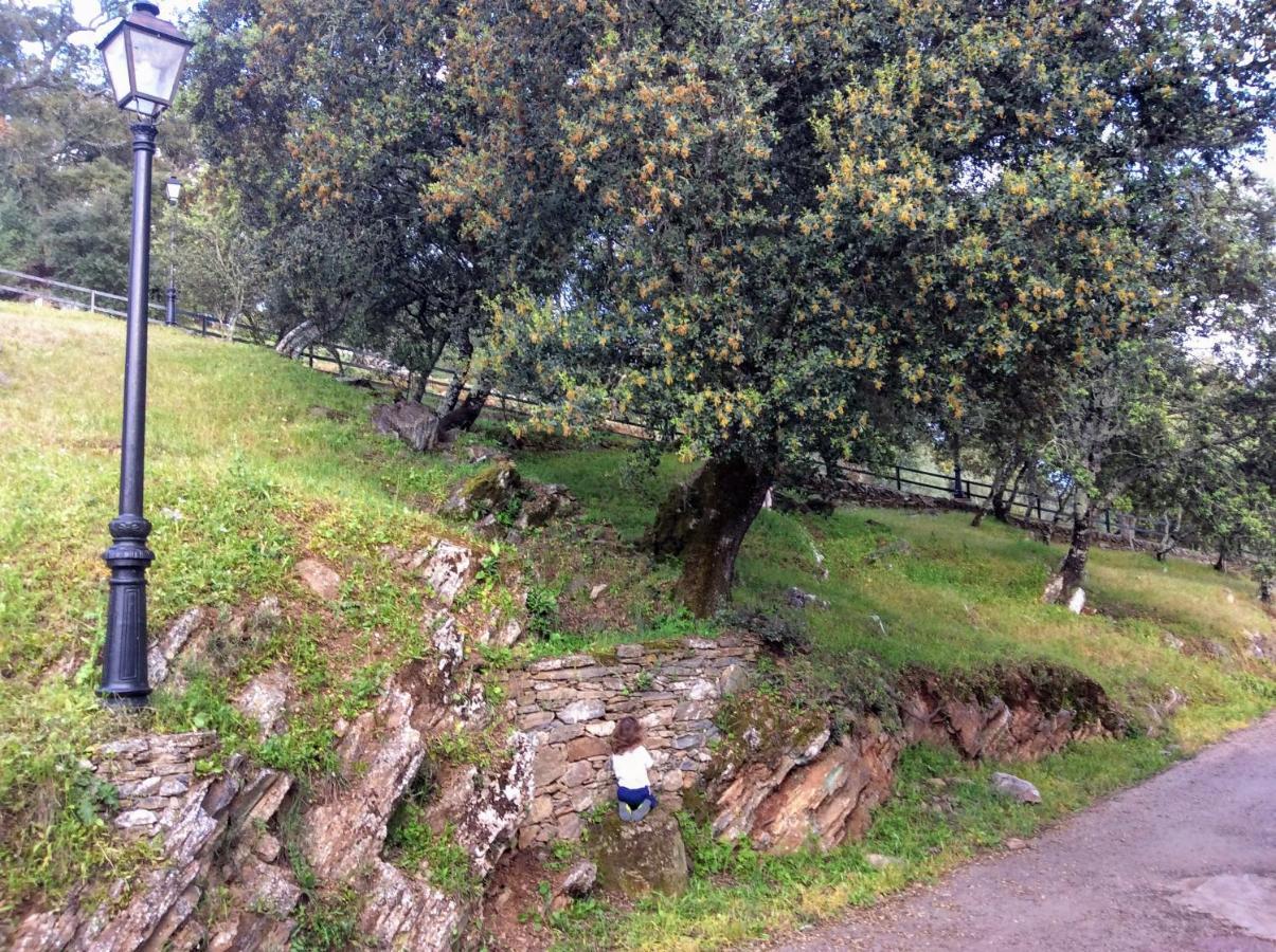 Casa Mandarina Aracena Villa Buitenkant foto